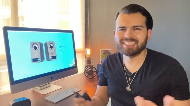 LOGITECH Z150 смотреть онлайн