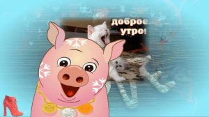 С ДОБРЫМ УТРОМ пожелаю утро доброе прикольное видео, смешное, позитивное пожелание