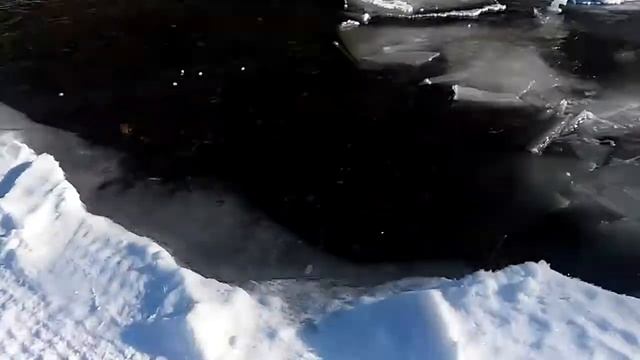 Походы за хариусом.Рыбалка красивая природа в Коми Ухта Ижма Сюзью(3) смотреть онлайн
