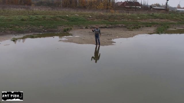 Вода села на 2 метра! Обзор пруда
