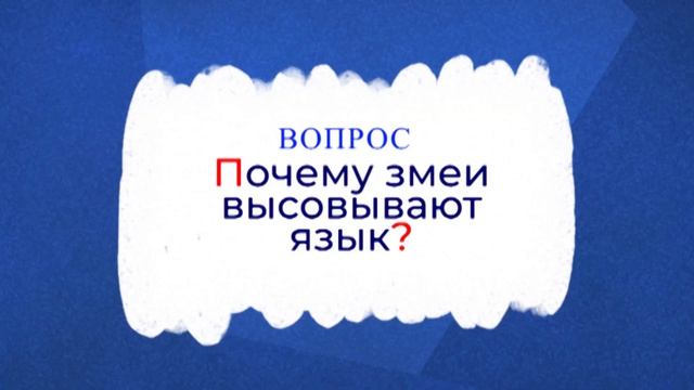 САМАЯ ЖАРКАЯ ПЛАНЕТА? | Ильич спрашивает | Выпуск #6 смотреть онлайн