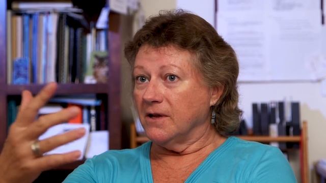 The Incredible Life Of Dolphins | Changing Seas | Real Wild смотреть онлайн