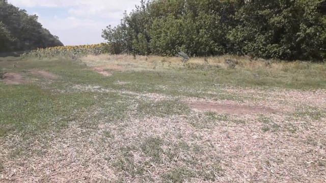 02.08.2018. Эрозия почвы при классической технологии смотреть онлайн