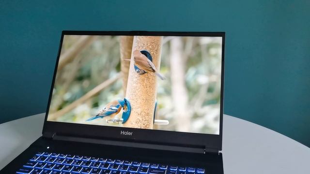 HAIER GG1700A обзор. Доступный игровой ноутбук на 17 дюймов смотреть онлайн