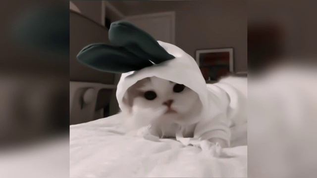 amaria bb - slow motion (????? ??) смотреть онлайн