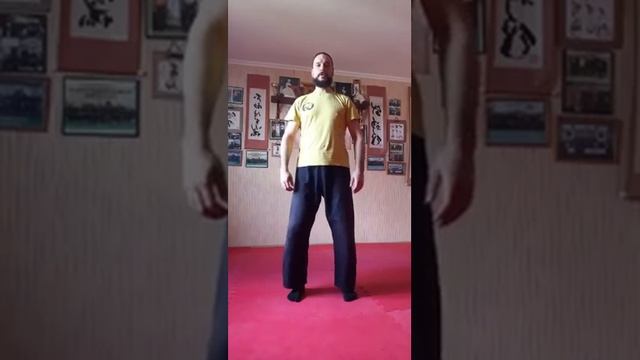 Будзинкан с Михаилом Матешем. Урок 2