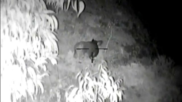 Tirito arriscado смотреть онлайн
