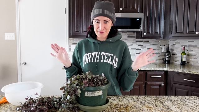 I Just Lost My Job, So Now What? | Repot and Chat смотреть онлайн