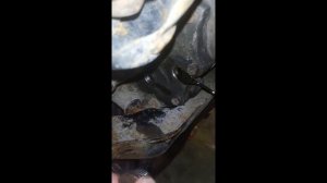 Замена масла в редукторе Toyota Corolla Fielder 4WD