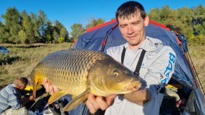 Ловля сазана на реке Ахтуба
