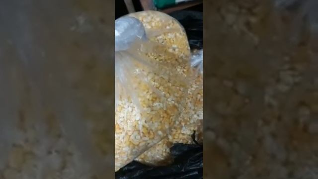 ##корейскаякухня. Маленькая Корея на Айне базаре .Обзор продуктов в Шымкенте смотреть онлайн