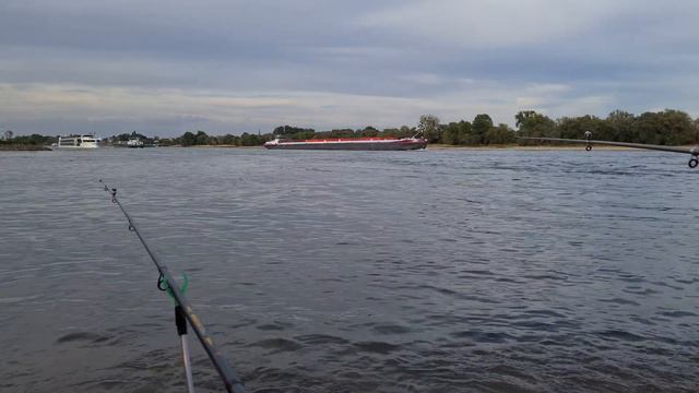 Рыбачил на судака, а поймал язя на 2,2 кг. Ловля язя на бычка. Не рыбалка, а экстрим. Язь на бычка. смотреть онлайн