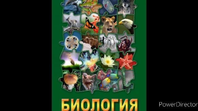 #13 Отдел моховидные. Биология 7 кл. смотреть онлайн