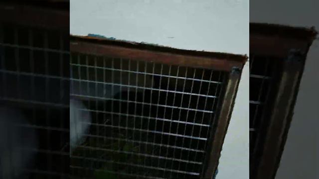 нашла старое видео когда мне было 9 лет 🙃 смотреть онлайн