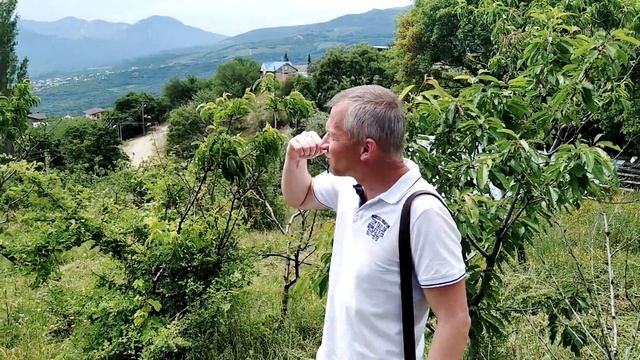 Видовые участки в Лучистом. Алуштинский район, Крым. Виды на море и горы. Электричество, вода, газ! смотреть онлайн