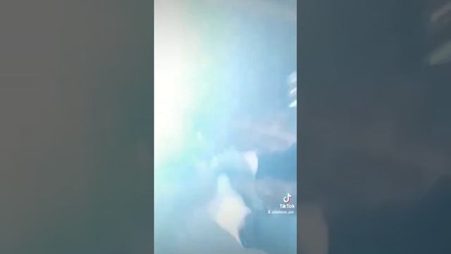 Парение на пихте. #баня#парениевениками#парениенапихте#парюсдушой смотреть онлайн