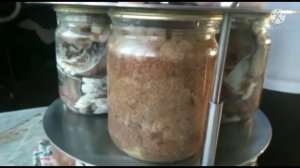 Консервы из ?КАРАСЯ в автоклаве.
