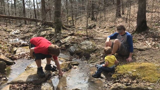 Hike to Glory Hole Waterfall in Arkansas смотреть онлайн