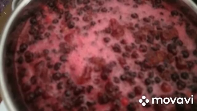 Лучшие рецепты домашнего желе