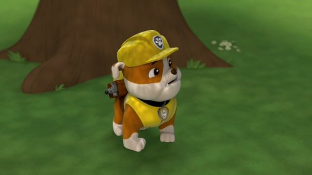 Pati Devriyesi | 🟣 Eğitim Görevleri - 4. Bölüm 🟣 | Nick Jr.