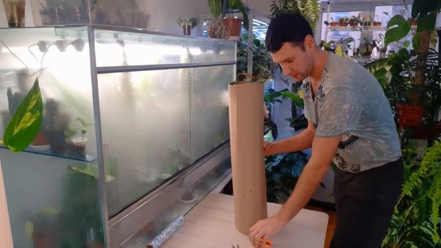 КАК УПАКОВАТЬ КРУПНОЕ РАСТЕНИЕ,? / УПАКОВКА ДЛЯ ПОЧТЫ РОССИИ смотреть онлайн