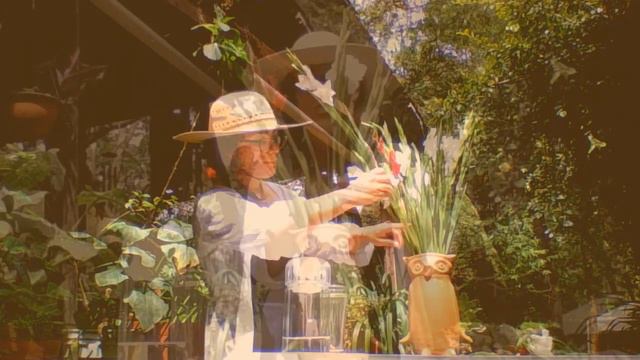 Poesía ritual: La disposición de cada gladiola en el florero смотреть онлайн