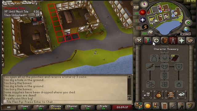 I tried Settled's Tile-man Mode at a Unique Spot... (It was surprisingly fun) смотреть онлайн