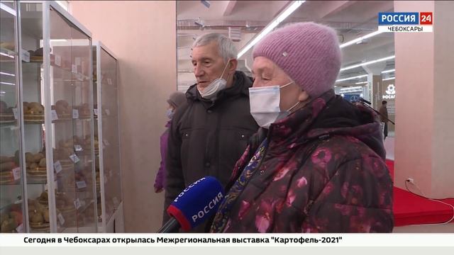 Лучшие сорта картофеля, удобрения, техника и всевозможные новации на выставке "Картофель-2021" смотреть онлайн