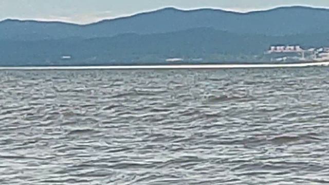 Море. Облака. Рыбаки. Тавричанка 24.08.2022 смотреть онлайн