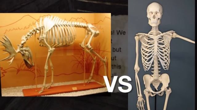 Escape from Bug Island! - brutalmoose смотреть онлайн