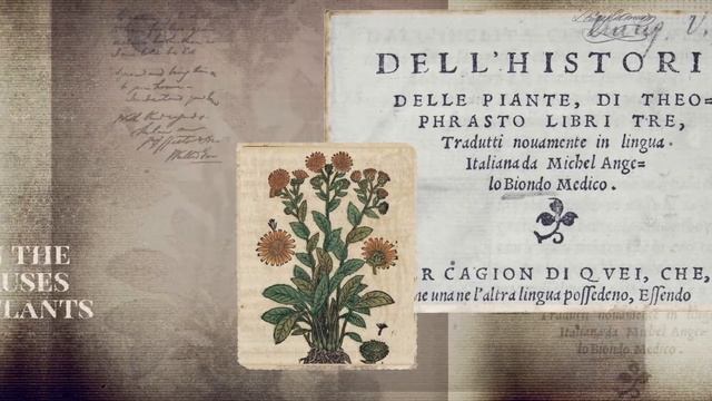 #2 Theophrastus. The Father of Botany | Pioneering Botanists and Their Times смотреть онлайн