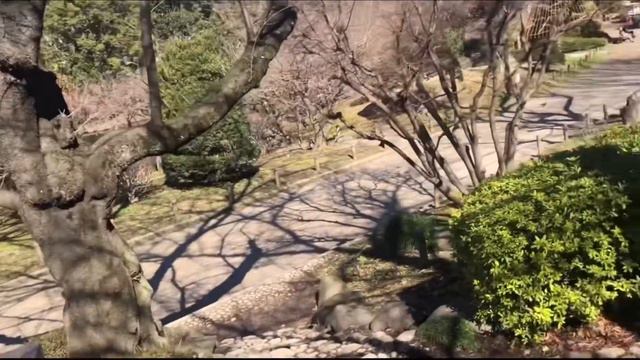 📔-Дневник перелетной птицы #33 «Мое первое утро в Японии». смотреть онлайн