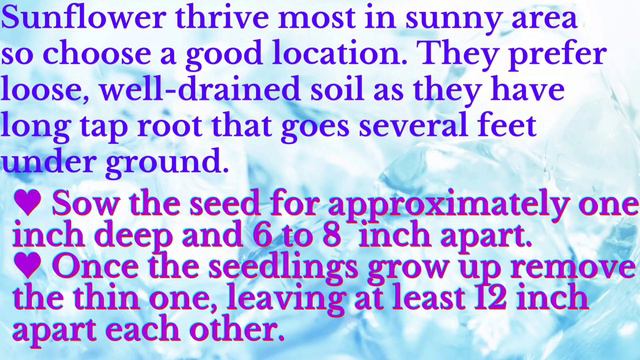 5 EASIEST FLOWER TO GROW FROM SEED смотреть онлайн