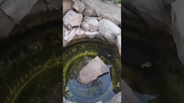 Один прекрасный вечер с семьёй