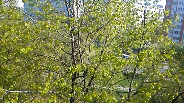 Crocket`s Theme крокет зэм