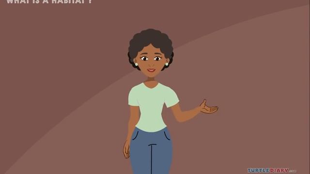 6 Habitats Where Animals & Plants Live! *AMAZING* Science for Kids смотреть онлайн