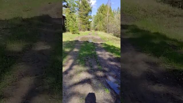 курорт Молтаево. смотреть онлайн