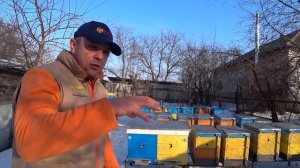 Щавелевая Кислота. Ответы на вопроси. Обработка пчел Весной. ВИДЕО #3