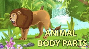 Learn The Animal Body Parts
