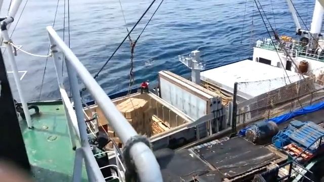 Работа в море ( Выгрузка, Африка, Гвинея-Бисау ) смотреть онлайн