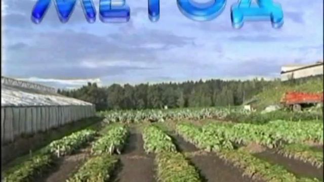 Обработка семян смотреть онлайн