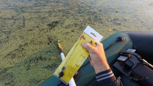 РЫБАЛКА НА БОКОВОЙ КИВОК С ЛОДКИ ! ЛОВЛЯ ДИКОГО КАРПА  НА  РОЙКУ .