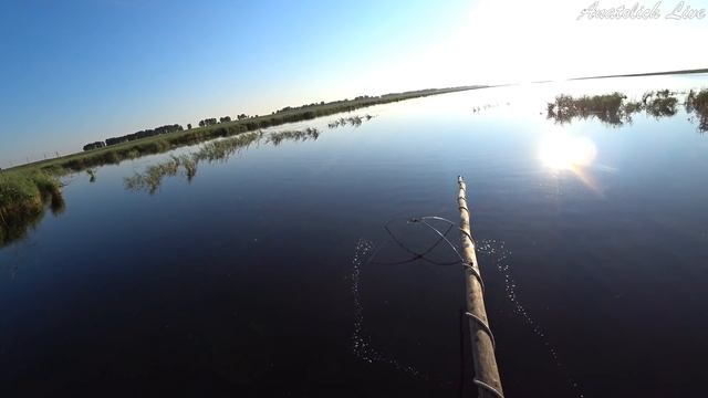 Рыбалка на Паук (подъёмник). Я всё-таки его поймал... Видео 2020 ( САЗАН КАРАСЬ) Ловля на ПАУК лето смотреть онлайн