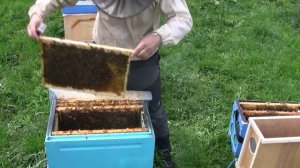 ФОРМИРОВАНИЕ ПЧЕЛОПАКЕТА НА ПРОДАЖУ