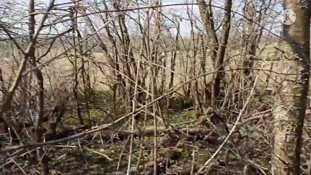 Коротко о дискриминации, о друзьях и недругах копаря... смотреть онлайн