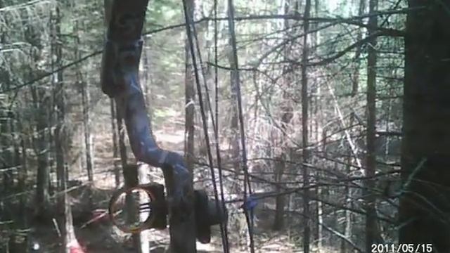 медведь подранок 9052015 смотреть онлайн