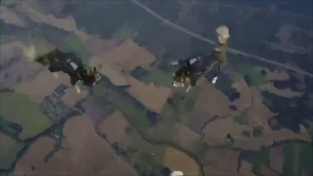 Skydiving Cats Коты на парашютах! смотреть онлайн