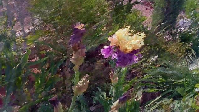 Ирисы. Часть 1 смотреть онлайн