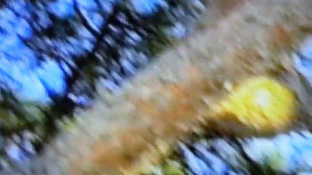 Forio d'Ischia casa vico Pera 1997 Pescatore Sergio Bruno смотреть онлайн