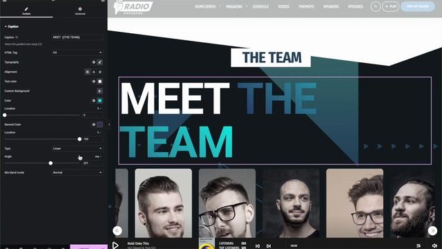 Pro Radio Website Template for WordPress: Update 4.2 смотреть онлайн